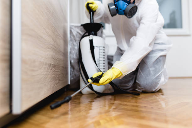 Best Pest Prevention Services  in Deerwood, TX