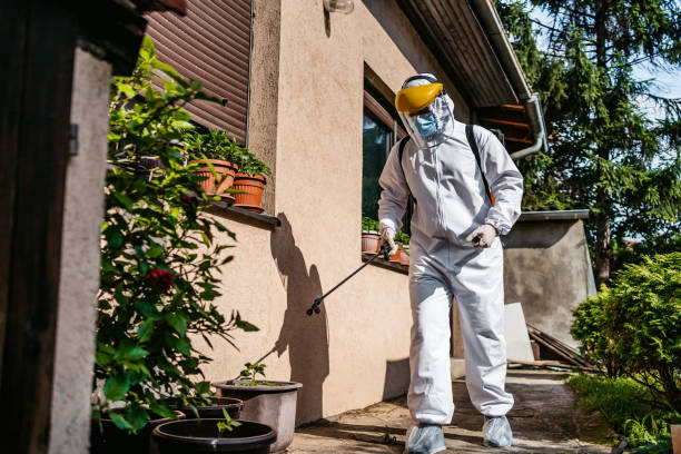 Best Best Pest Control Companies  in Deerwood, TX