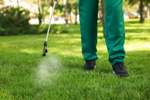 Best Pest Inspection Near Me  in Deerwood, TX