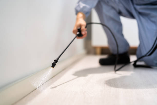 Best Termite Control Services  in Deerwood, TX