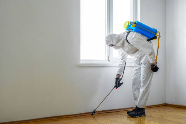 Best Affordable Pest Control Services  in Deerwood, TX