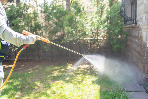 Best Pest Control Near Me  in Deerwood, TX