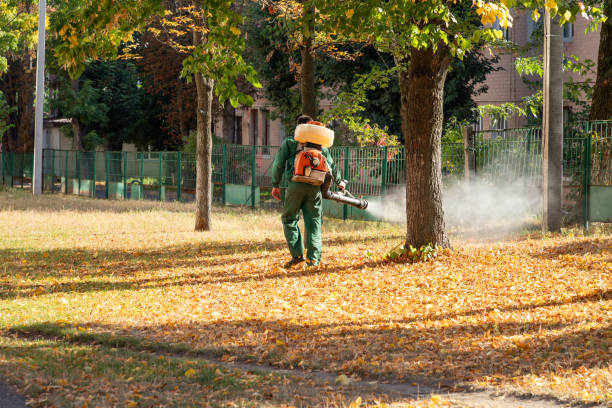 Best Exterminator Services  in Deerwood, TX