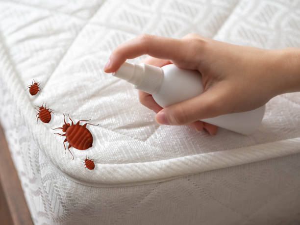 Best Cockroach Control Services  in Deerwood, TX