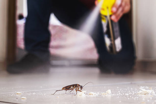 Best Cockroach Control Services  in Deerwood, TX