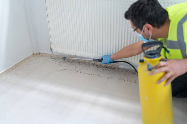 Best Bed Bug Extermination  in Deerwood, TX