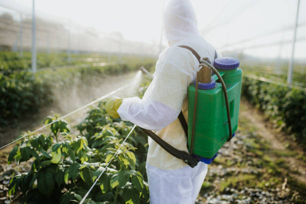 Best Ant Control Services  in Deerwood, TX